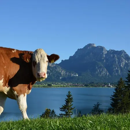 Salenberghof Bergsee * Rieden am Forggensee