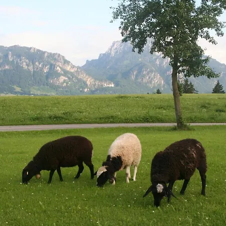 Salenberghof Bergsee * Rieden am Forggensee