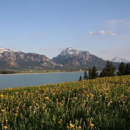 Salenberghof Bergsee Apartment Rieden am Forggensee
