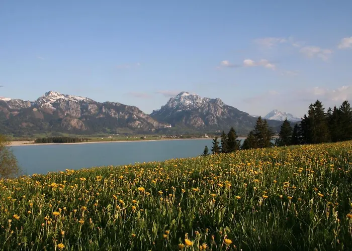 Salenberghof Bergsee Апартаменты Риден