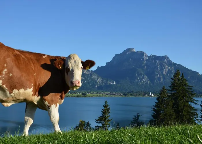 Salenberghof Bergsee * Риден