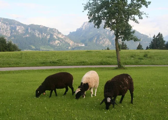 Salenberghof Bergsee * Риден